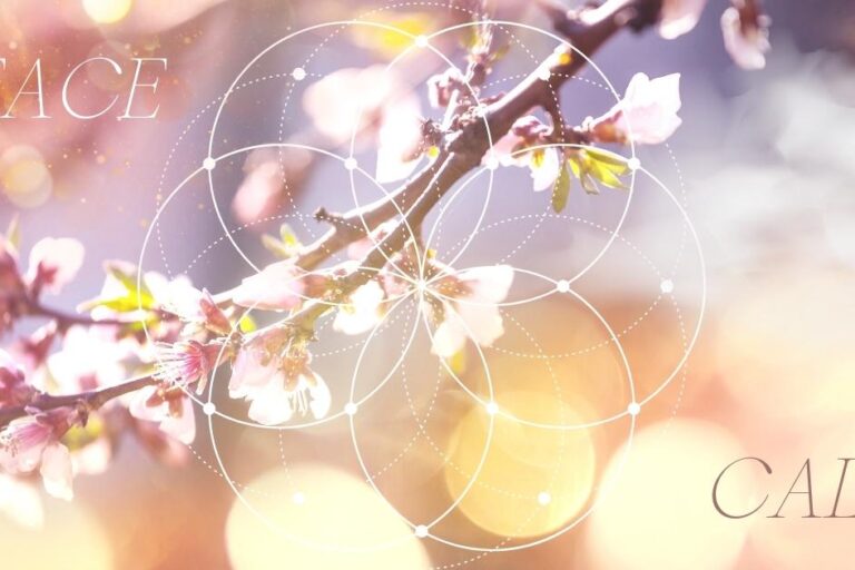 PEACE & CALM the mind with aromatic resins