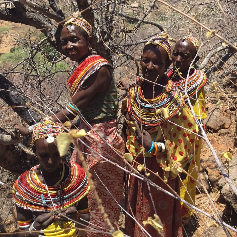 Samburu wildharvesting tirbe