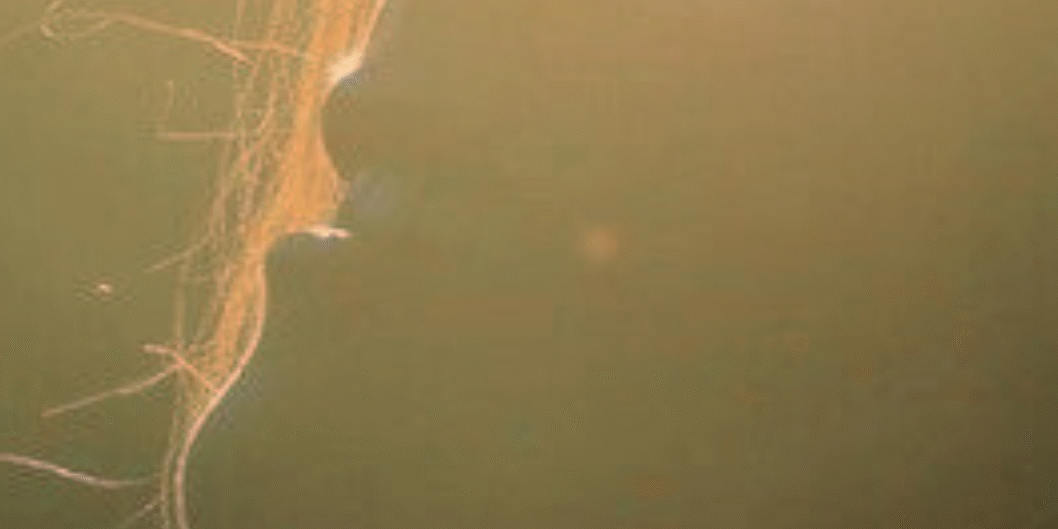 A Love Letter To Your Skin