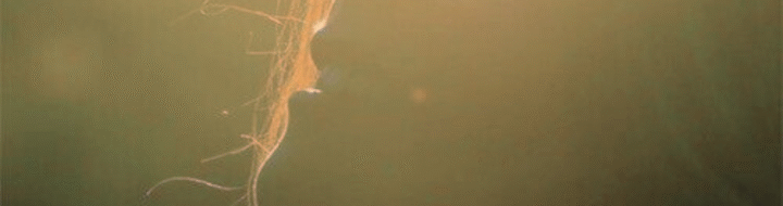 A Love Letter To Your Skin