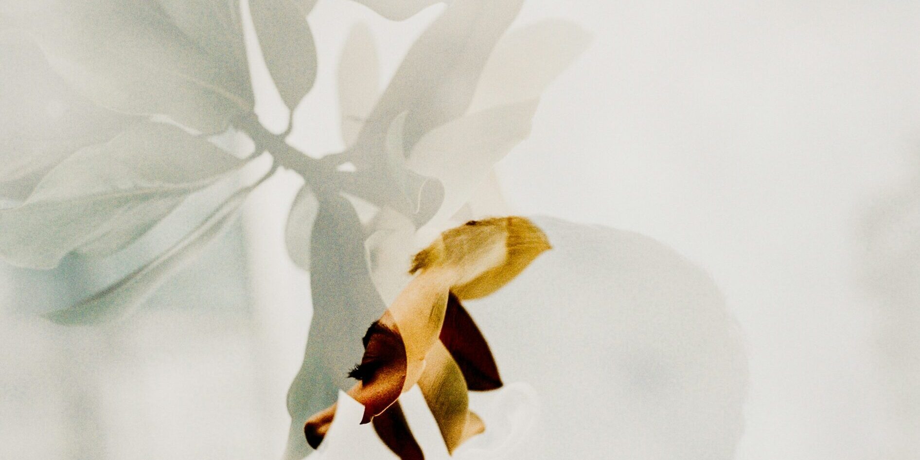 safe skincare ingredients